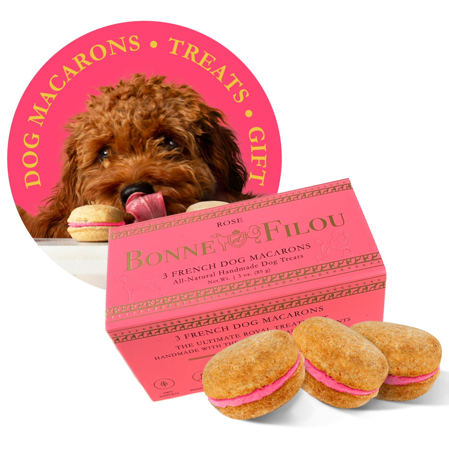 Premium Dog Macarons - Box of 3 Gourmet Treats for Dogs | All-Natural Ingredients