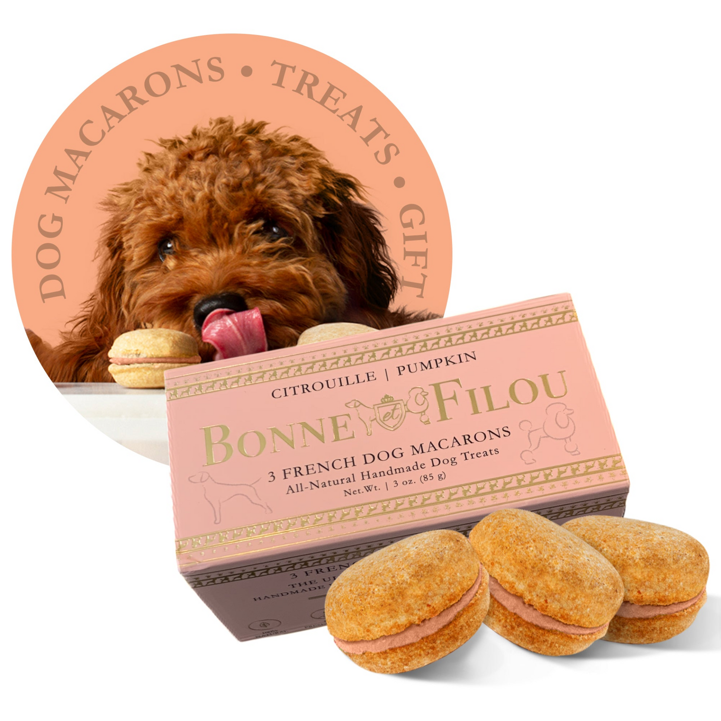 Premium Dog Macarons - Box of 3 Gourmet Treats for Dogs | All-Natural Ingredients