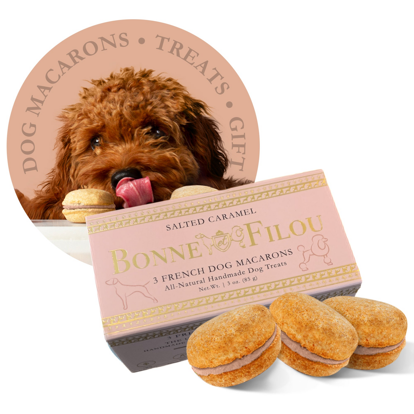 Premium Dog Macarons - Box of 3 Gourmet Treats for Dogs | All-Natural Ingredients