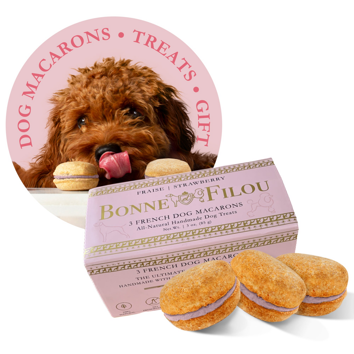 Premium Dog Macarons - Box of 3 Gourmet Treats for Dogs | All-Natural Ingredients