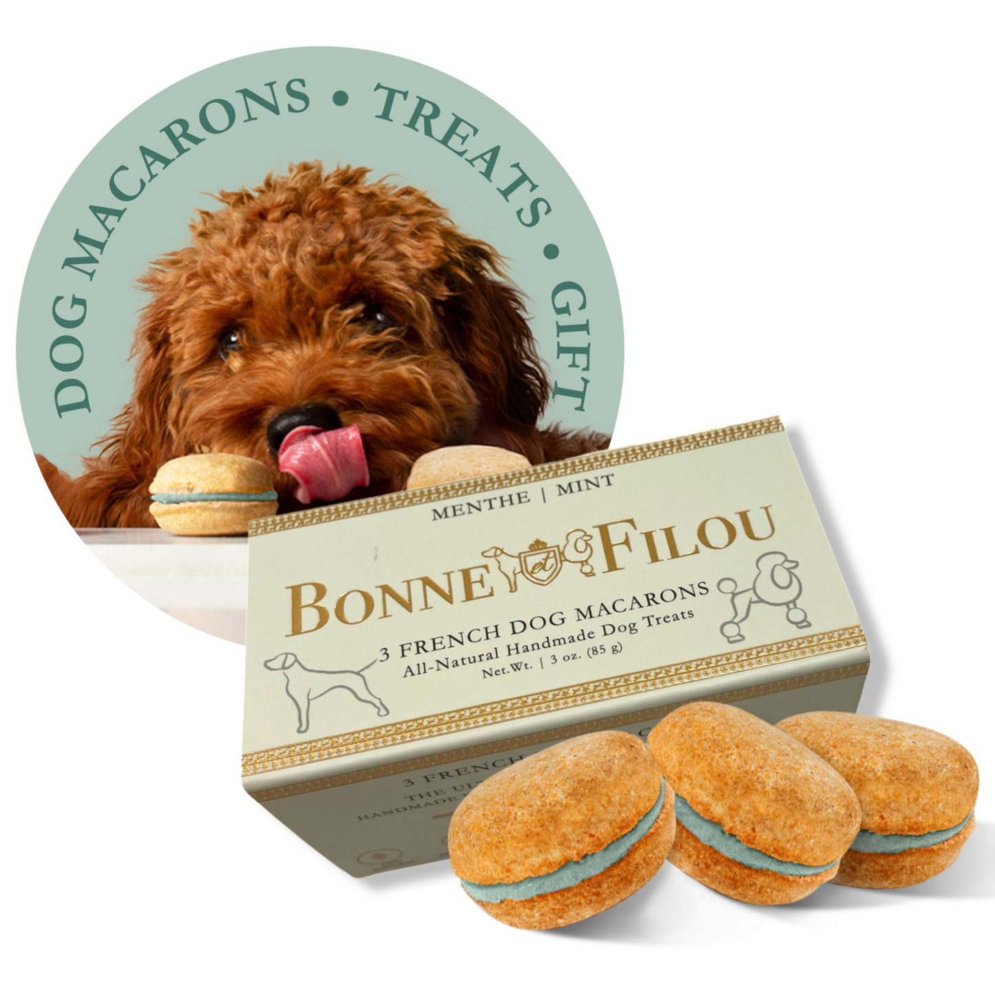 Premium Dog Macarons - Box of 3 Gourmet Treats for Dogs | All-Natural Ingredients