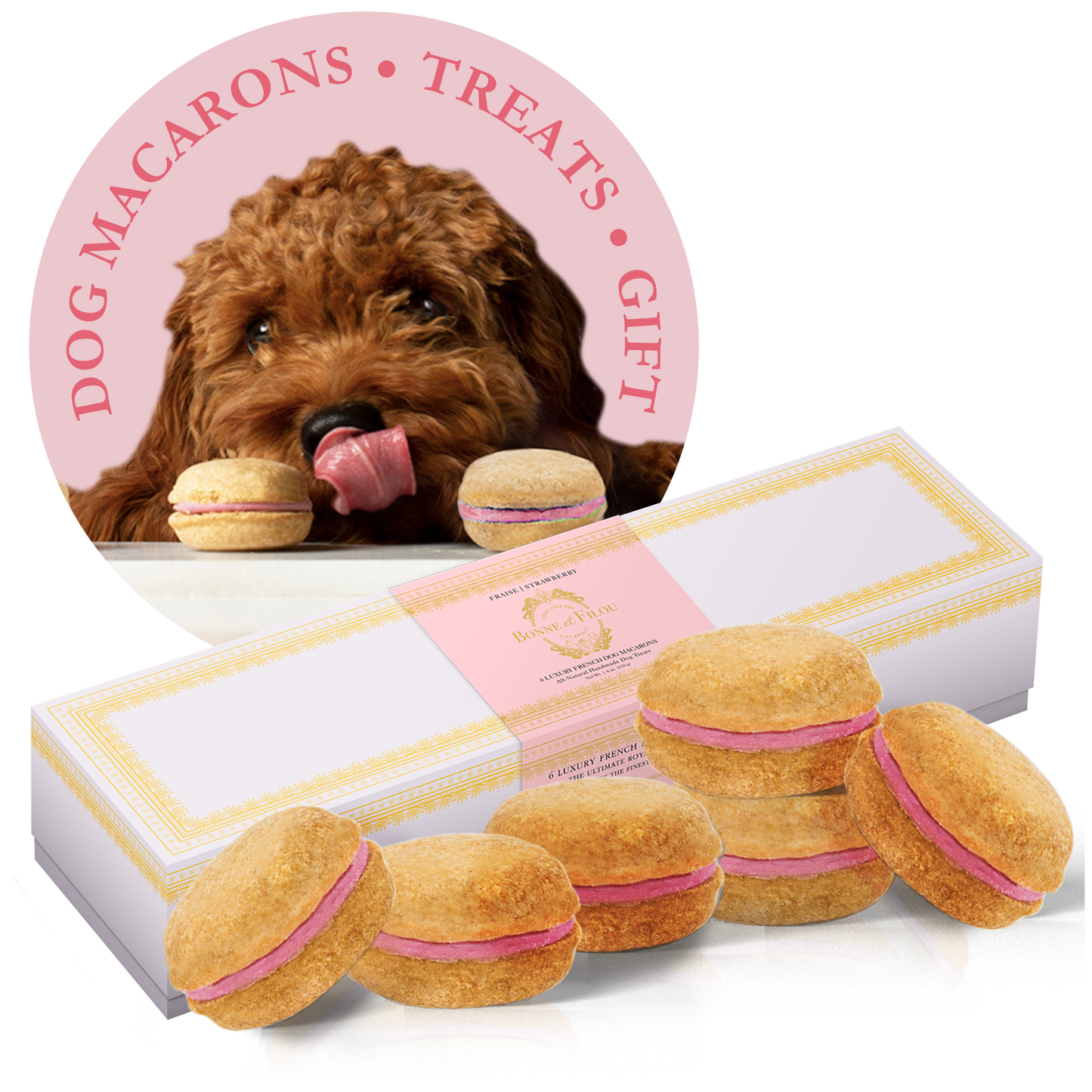 Premium Dog Macarons (Box of 6) - All Natural, Handmade Treats