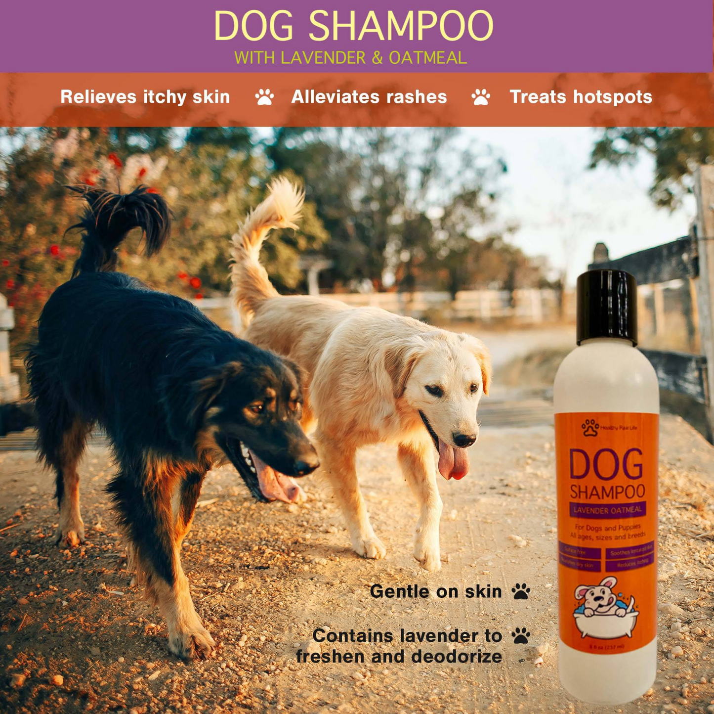 Oatmeal Lavender Pet Shampoo - Soothing Relief for Itchy Dogs, Deodorizes Foul Odor - Made in USA