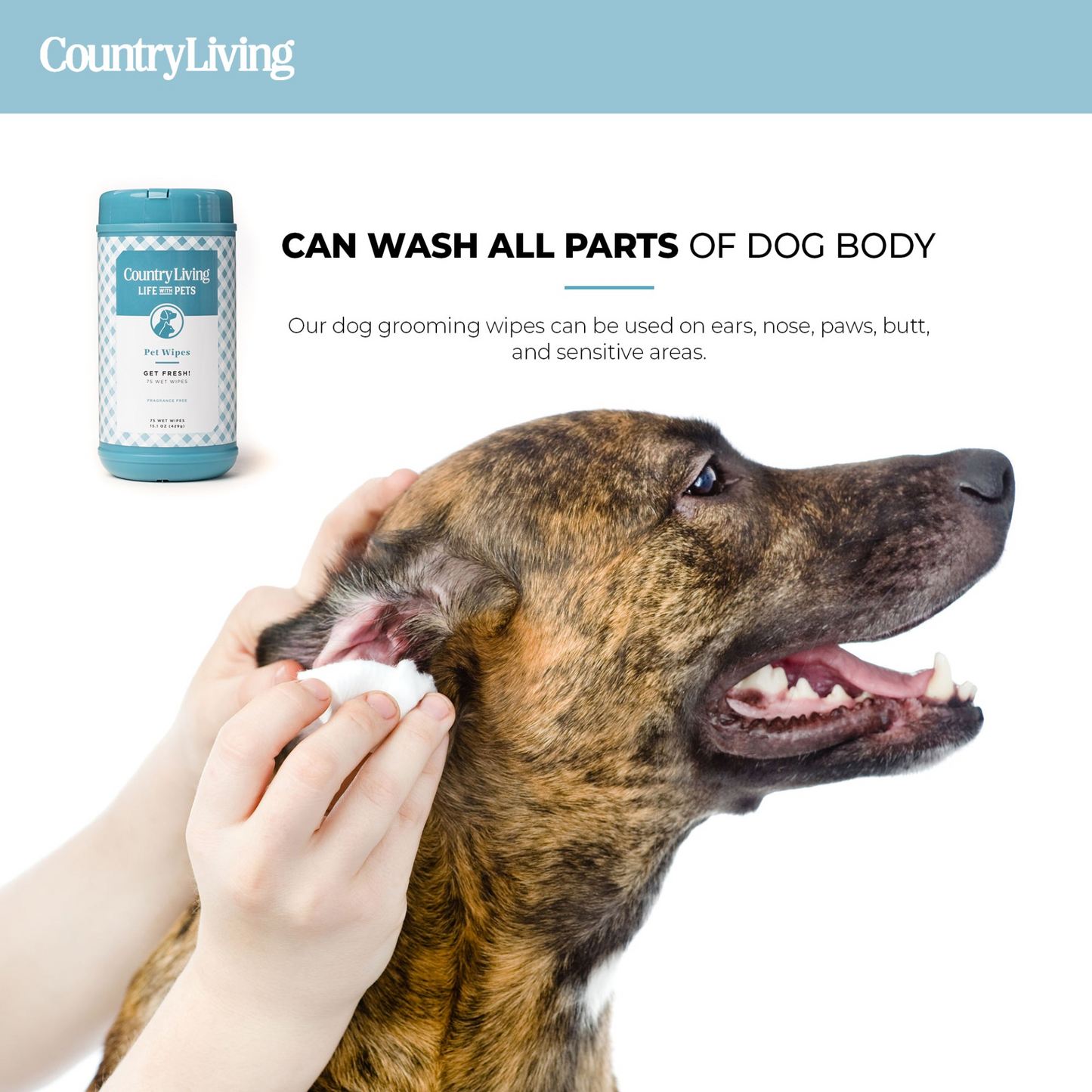 75 Fragrance Free Dog Wipes - Convenient and Gentle Pet Cleaning Solution