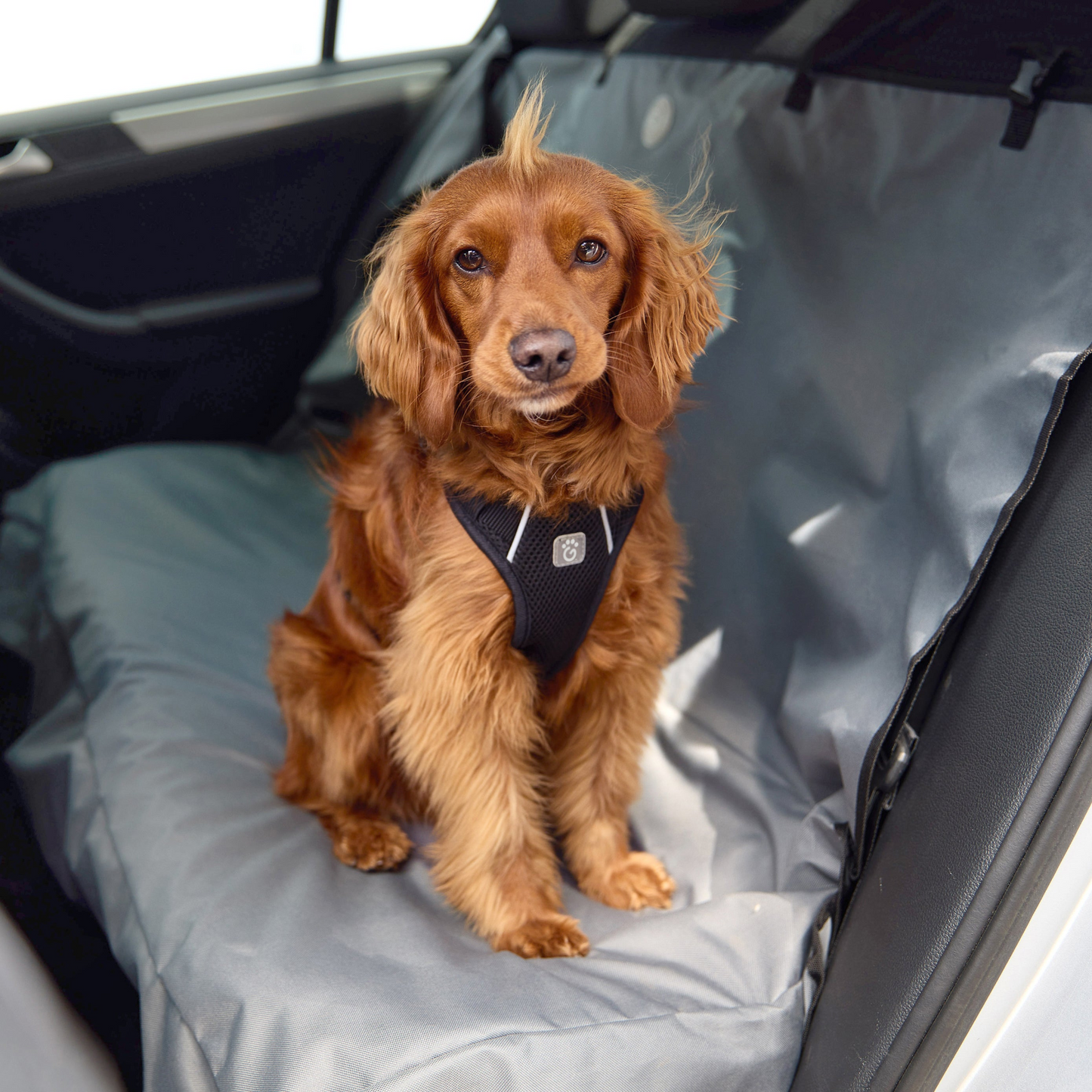 Protect Your Car Seats with the Waterproof Pet Bench Cover