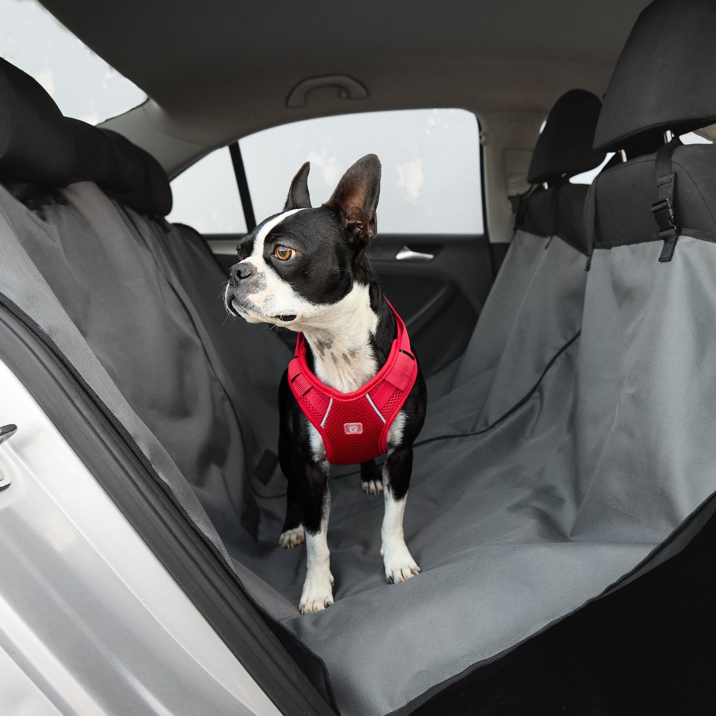 Protect Your Car Seats with the Waterproof Pet Hammock Seat Cover