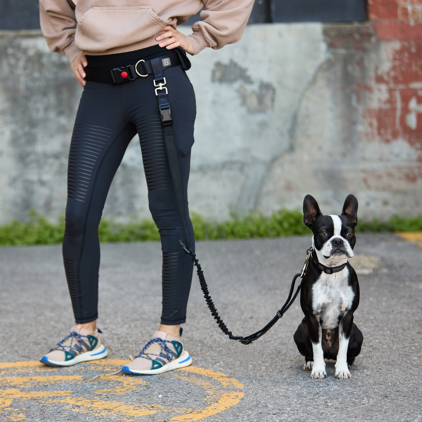 GF PET Waist Belt & Bungee Leash - Perfect for Running and Hiking with Your Dog