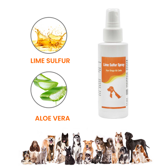 Healthy Paw Life Lime Sulfur Spray - Pet Care for Dry and Itchy Skin - Spotcare and Safe Solution for Dogs, Cats, Puppies, Kittens, and Horses