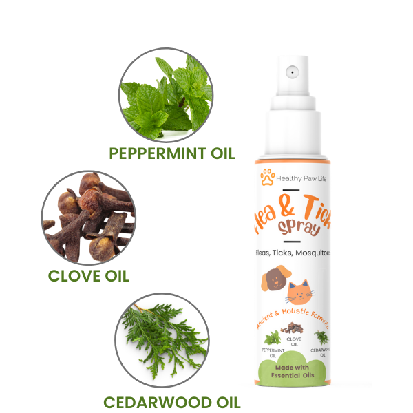 Flea and Tick Spray