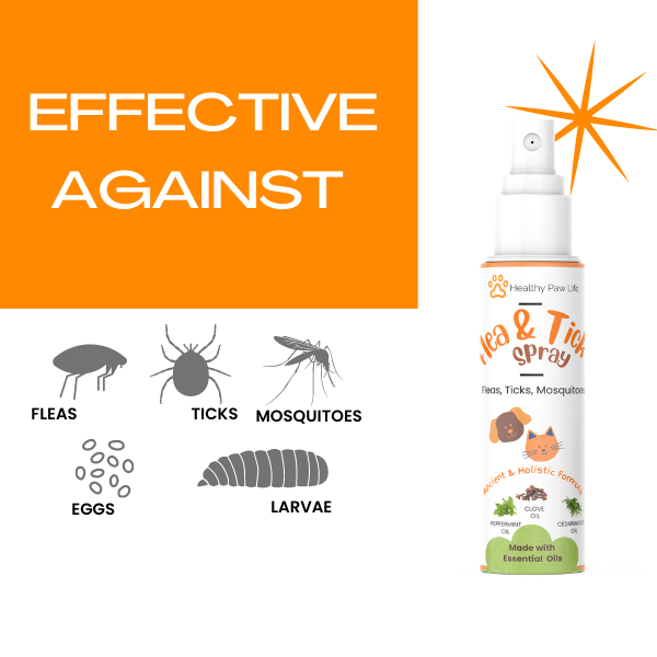 Flea and Tick Spray