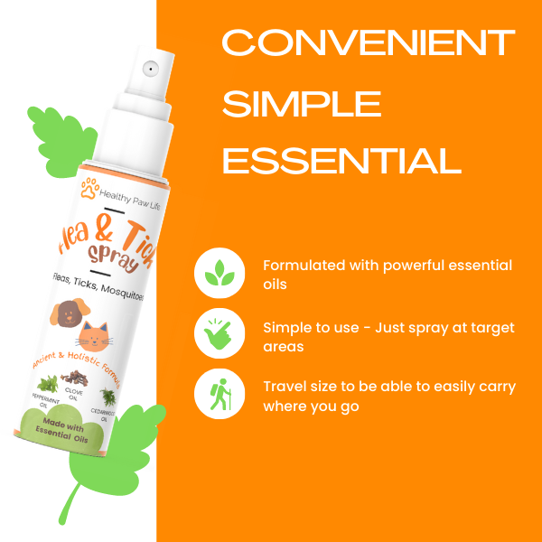 Flea and Tick Spray