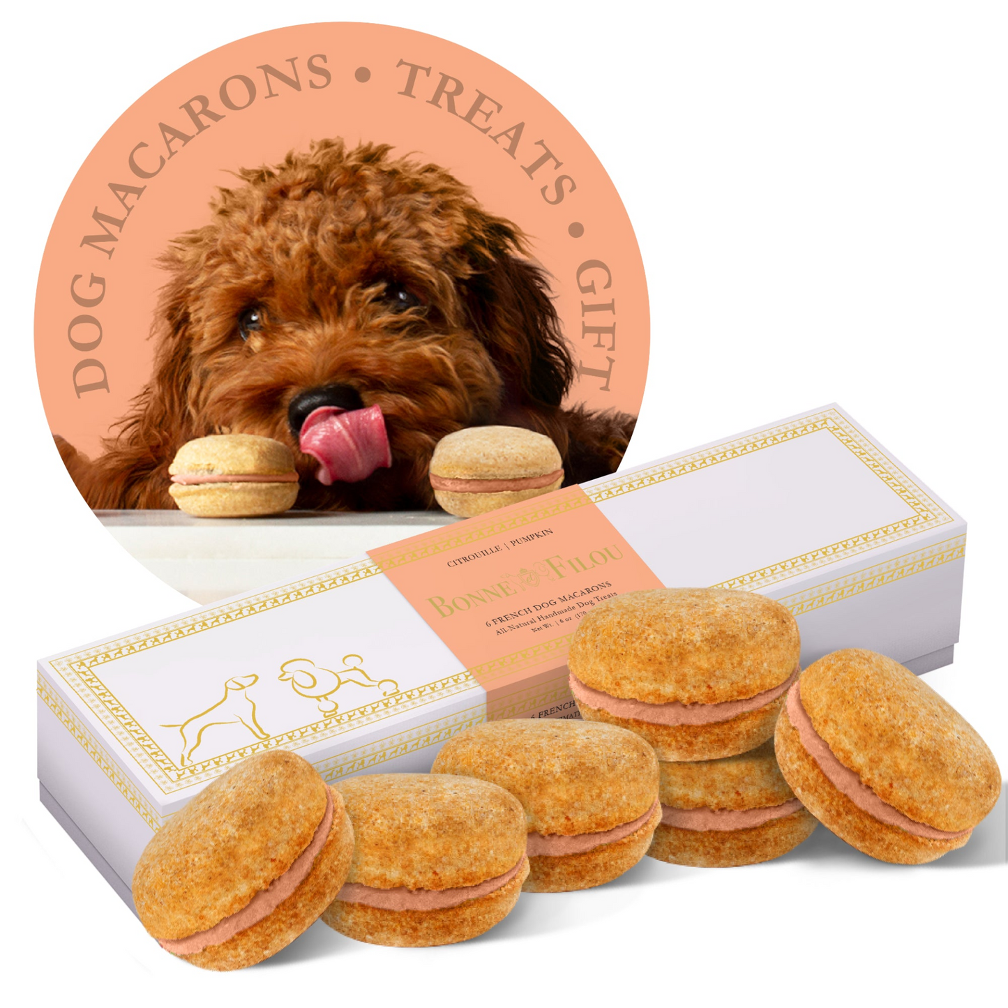 Premium Dog Macarons (Box of 6) - All Natural, Handmade Treats