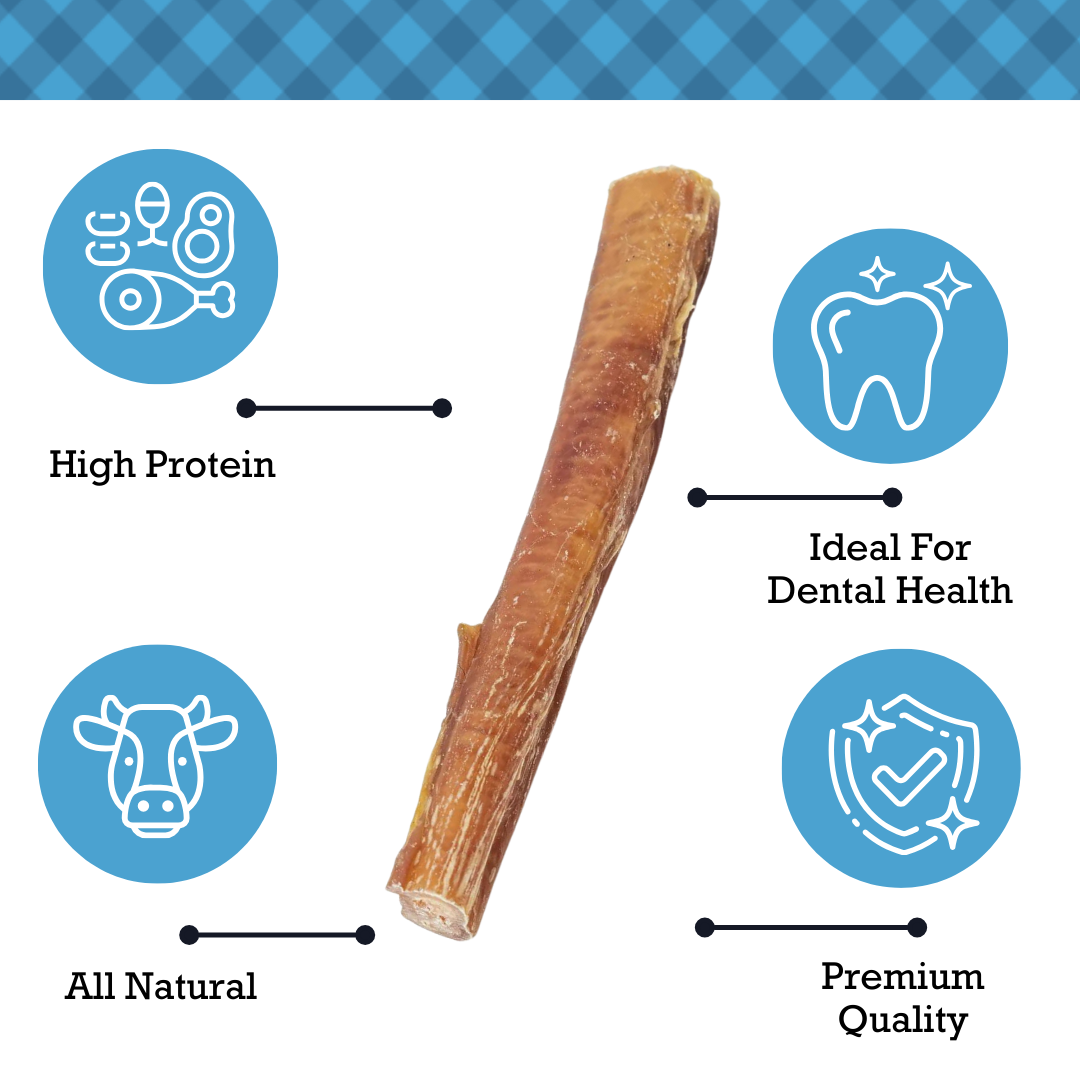 Country Living Bully Sticks  - All-Natural, High-Protein, Low-Odor Dog Treats for Chewing, and Behavioral Training, Long-Lasting, Healthy Snacks for Dogs – 12" Standard (10-Pack)