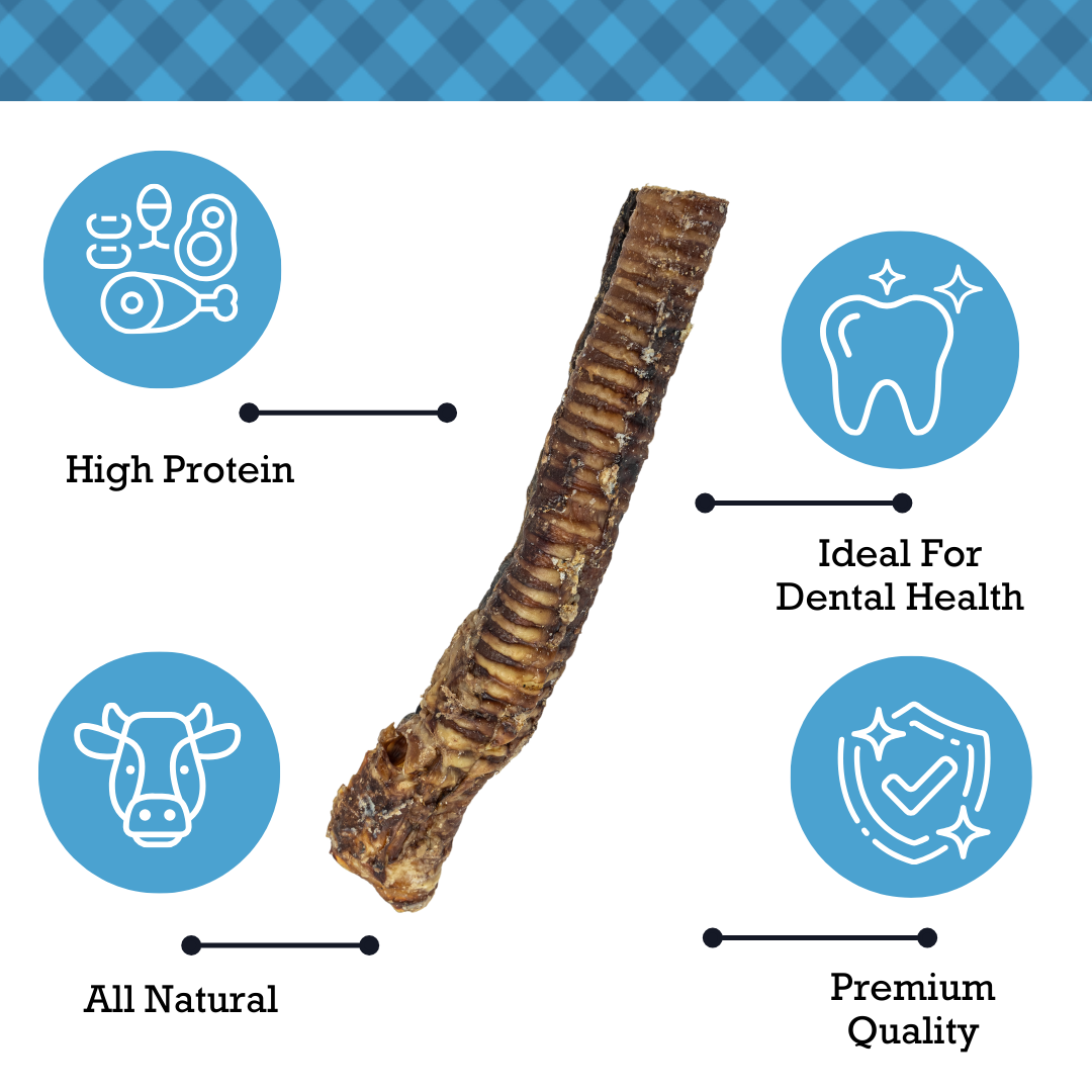 Country Living 12-Inch Beef Trachea Dog Treats - 100% Natural, High-Protein, Low-Fat Chews with Chondroitin for Joint Support, Nutrient-Rich, No Artificial Additives – 12” (5-Pack)